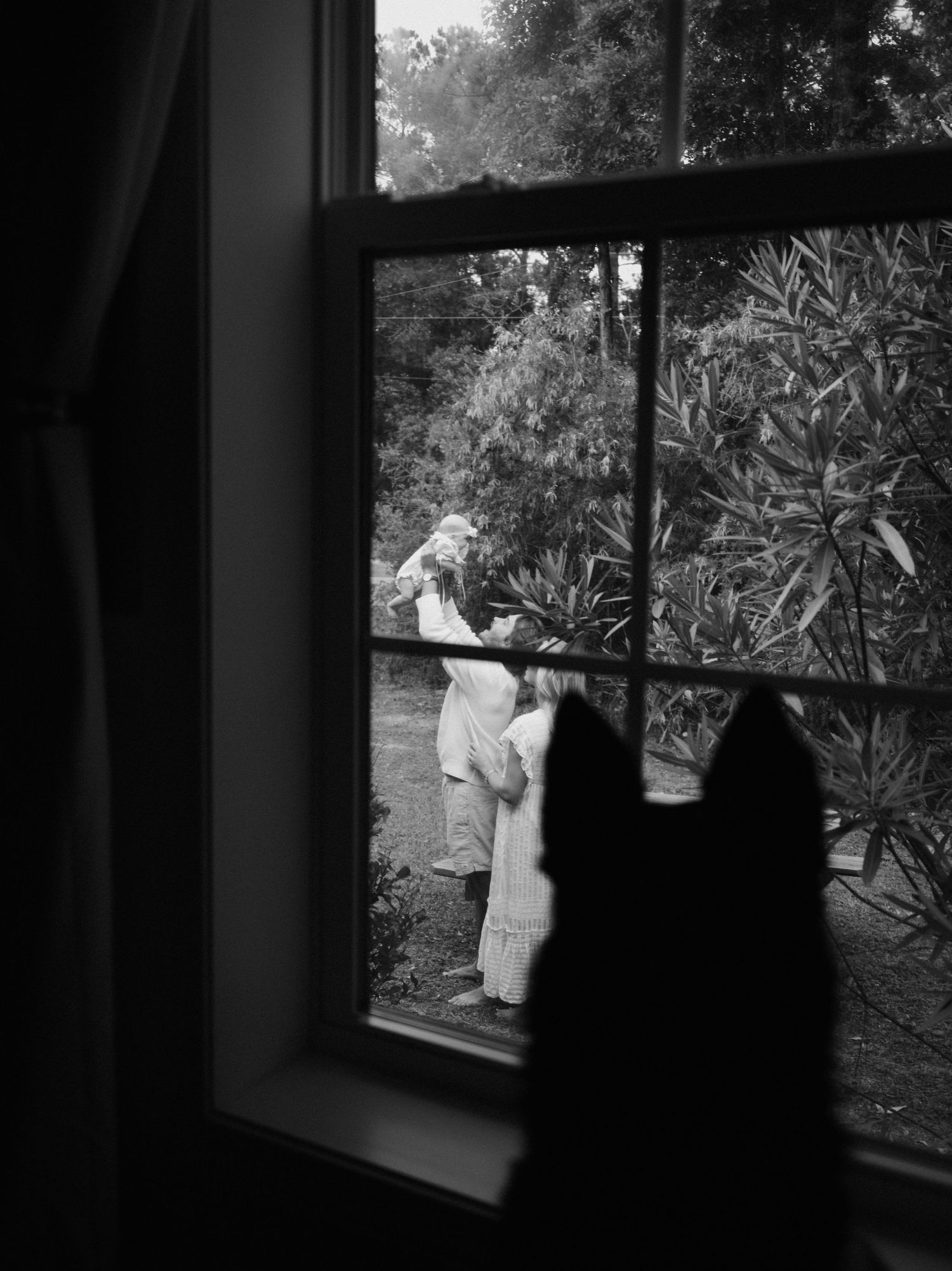 Silhouette figures seen through window panes with trees in background.