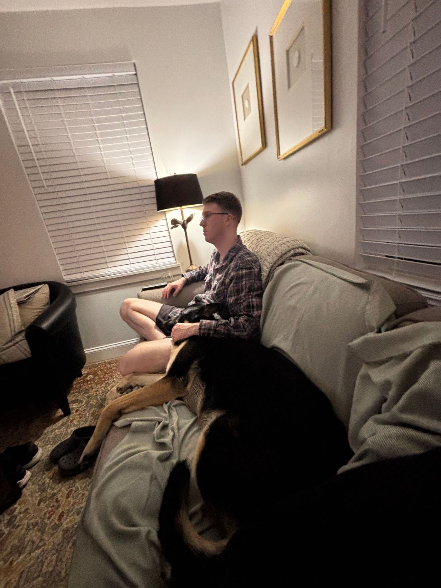 Man in plaid shirt sitting on gray couch with large black and tan dog resting beside him in cozy living room.