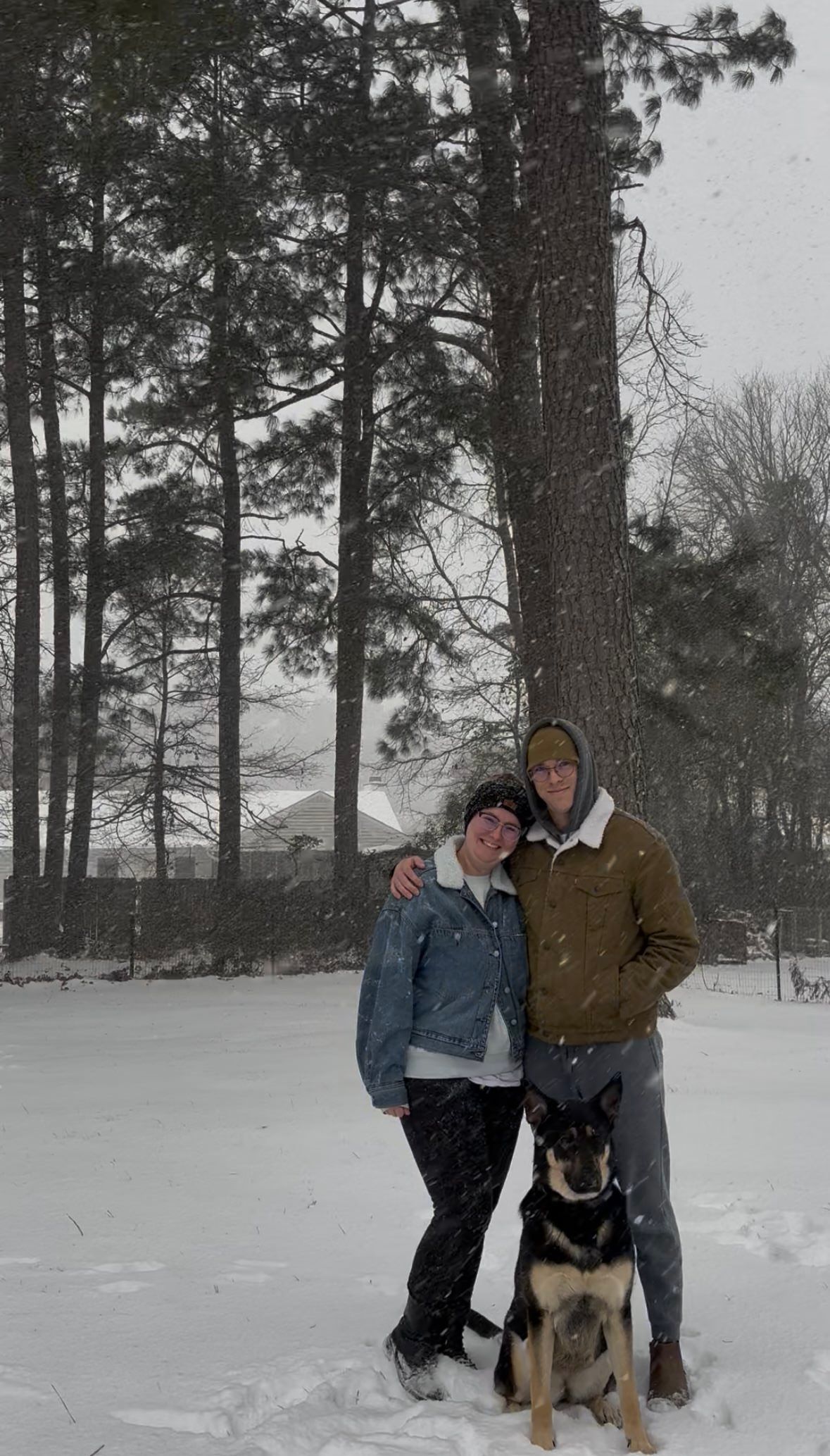 Couple posing with German Shepherd dog in snowy winter landscape surrounded by tall pine trees.