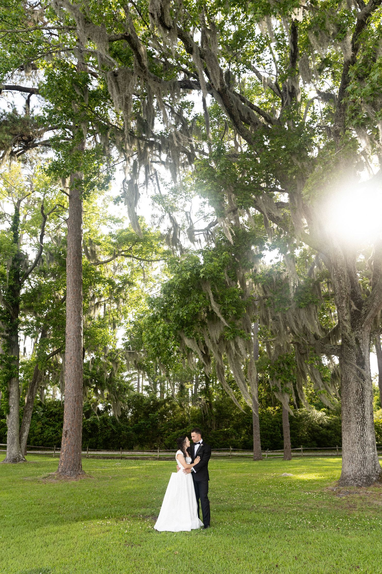 Bride and groom embrace under sprawling moss-draped oak trees on lush green lawn with sunlight streaming through the trees