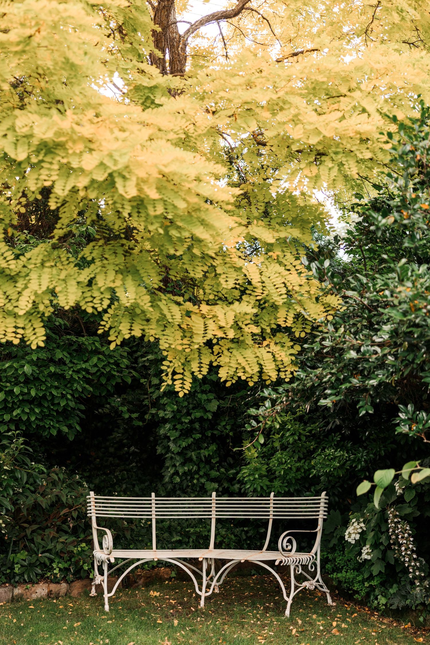 Beaulah House Gardens