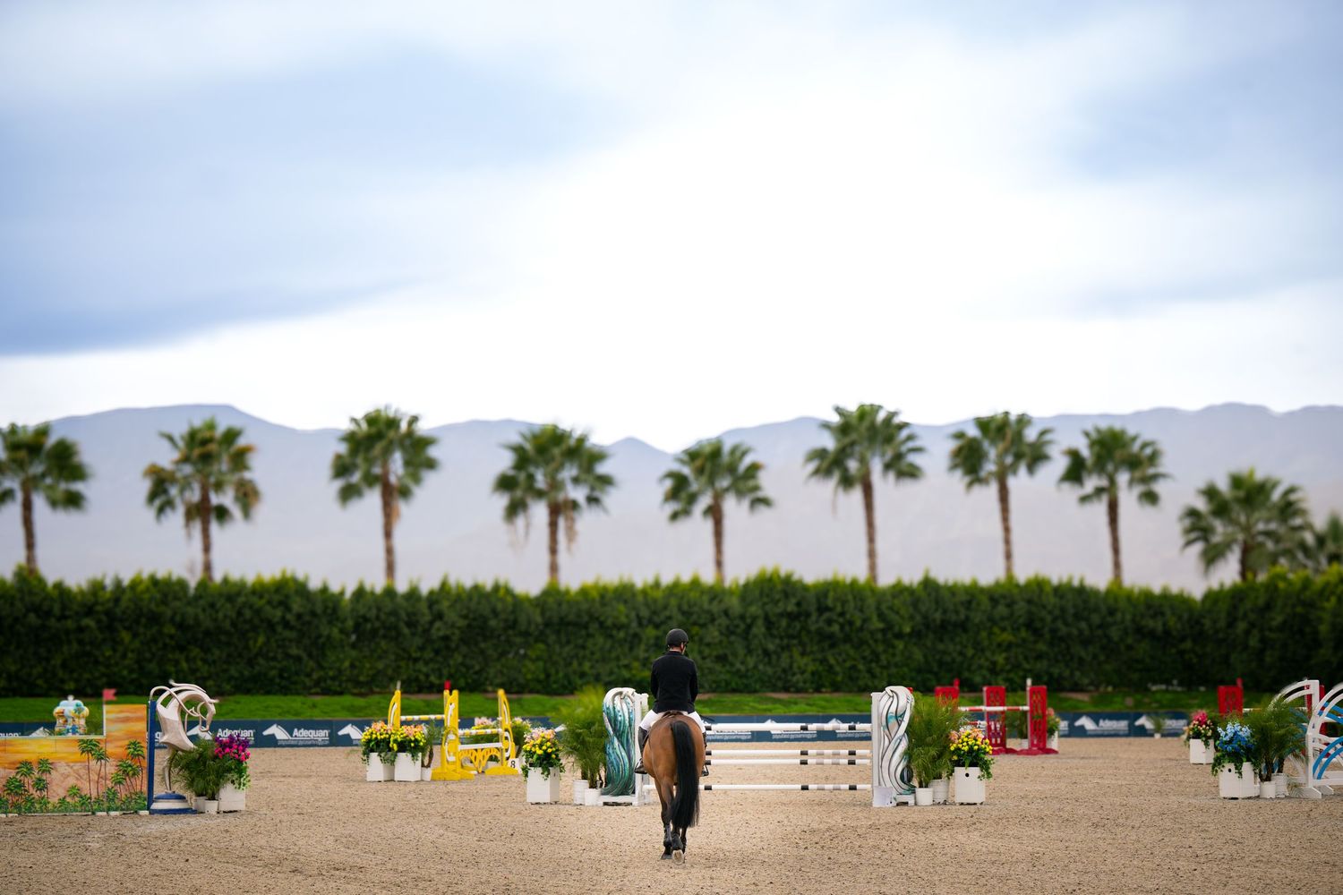 Equestrian rider on horseback navigating colorful show jumping course with palm trees and mountains in background.