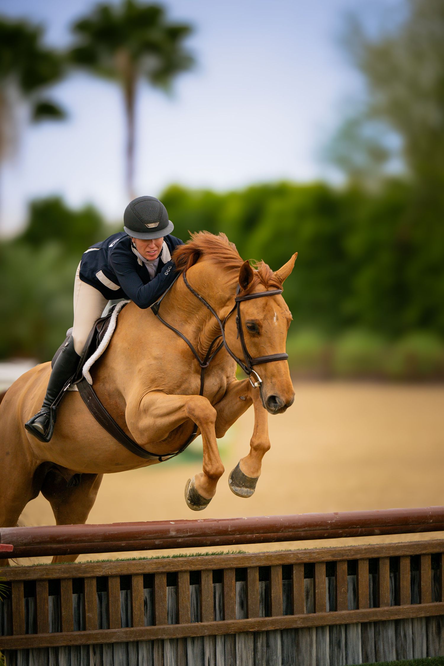 Equestrian rider on a chestnut horse jumping over a wooden fence in outdoor arena.