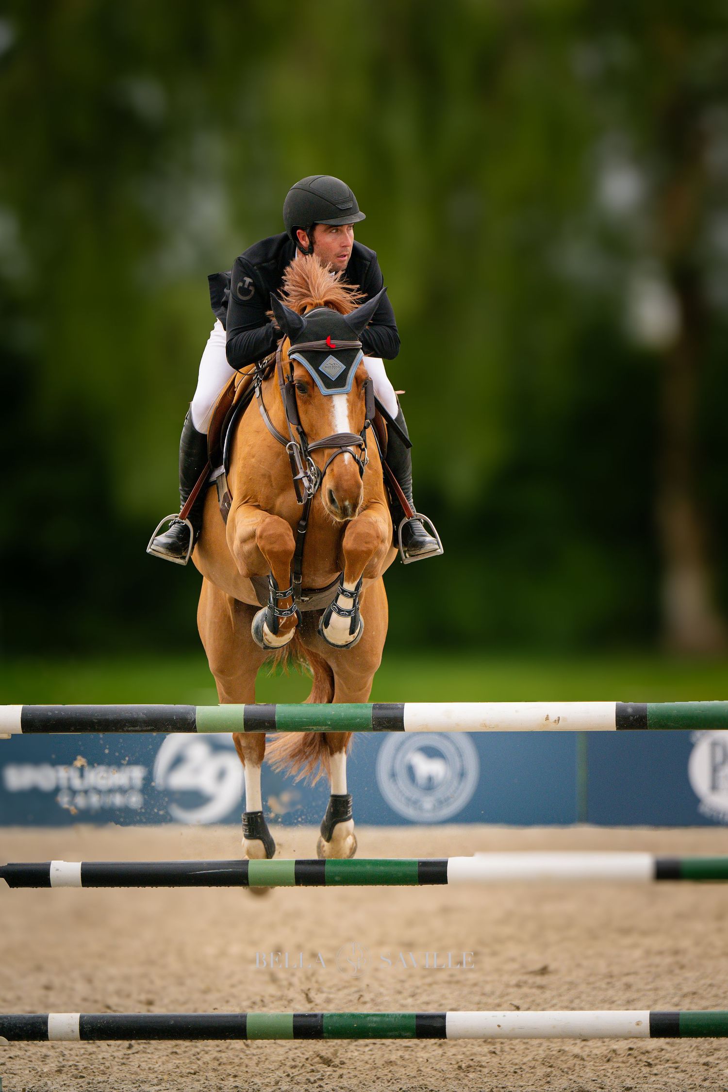 Show jumping rider on chestnut horse clearing green and white striped fence in outdoor equestrian arena.