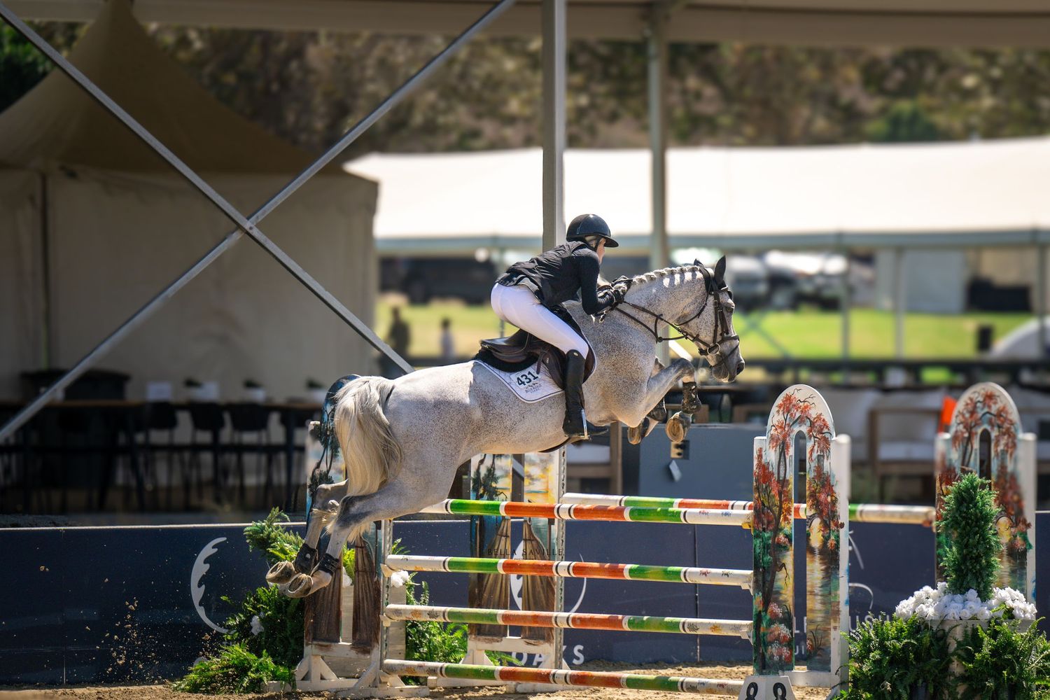 Gray horse and rider jumping colorful show jumping fence at equestrian competition.