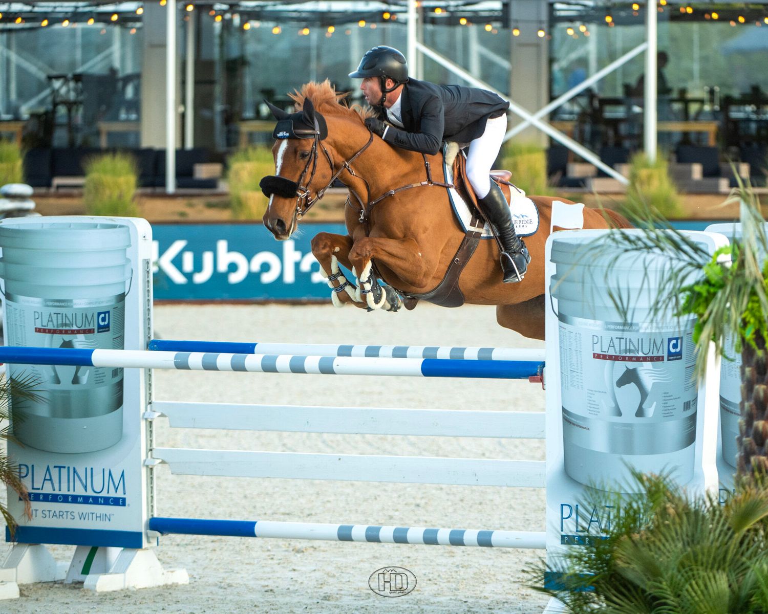 Sean Leckie wins Desert International Horsepark
