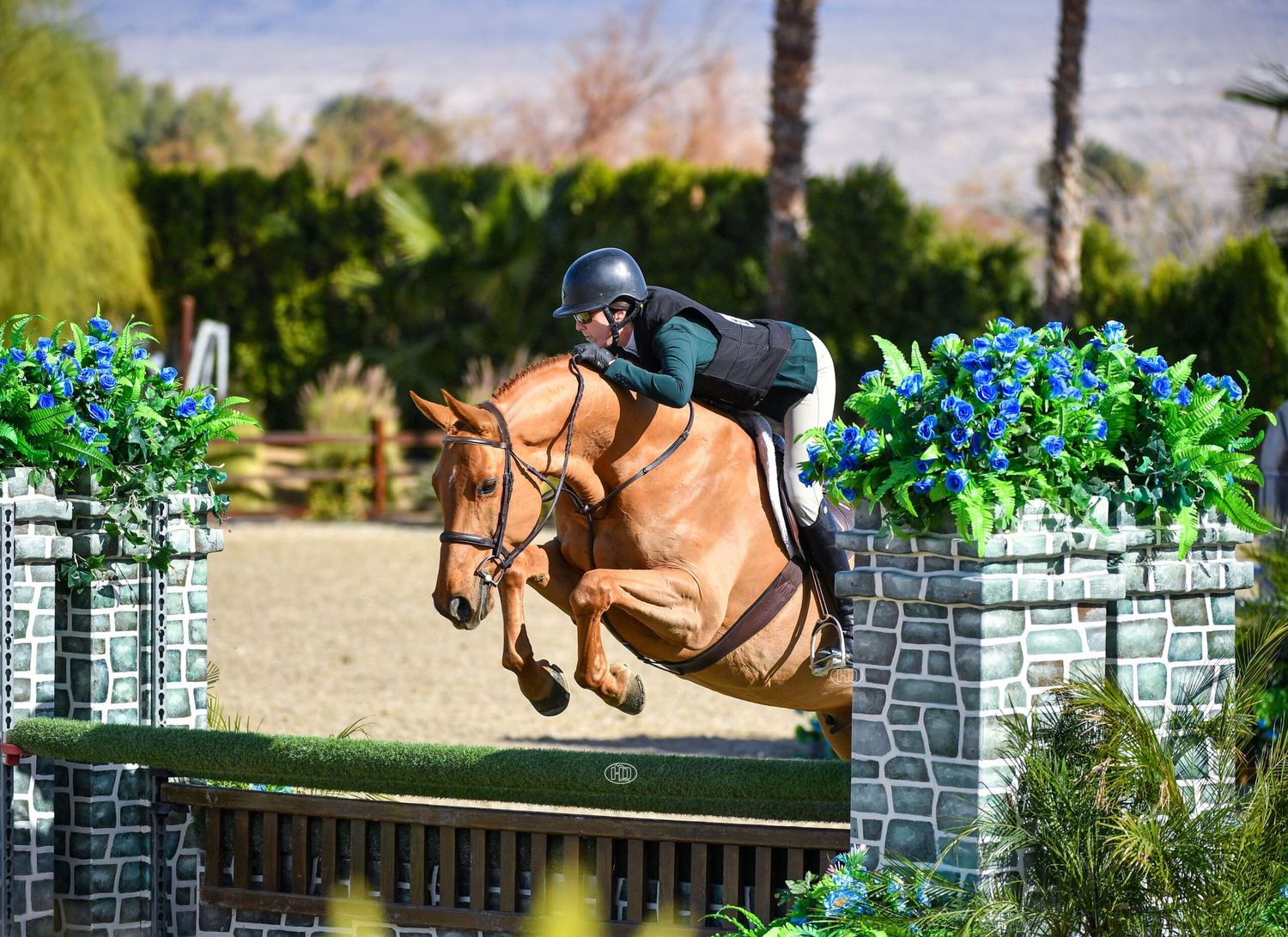 Rider on chestnut horse soars over a decorative stone wall jump at an outdoor equestrian competition. Katie Taylor Davidson