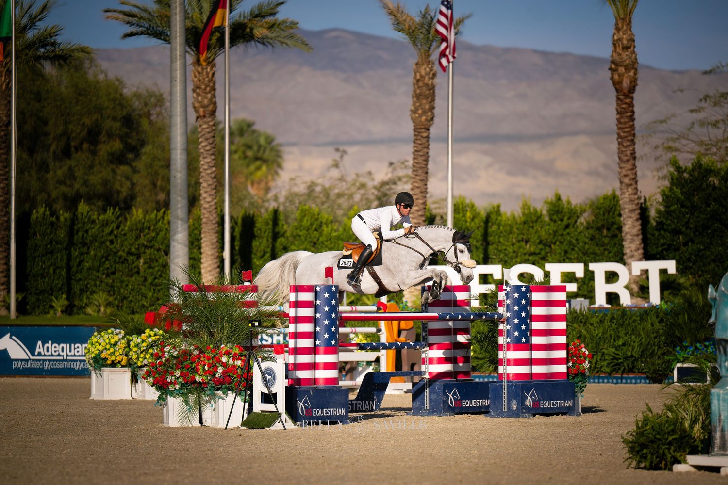 Equestrian rider on white horse jumping patriotic American flag fence at Desert Classic horse show.