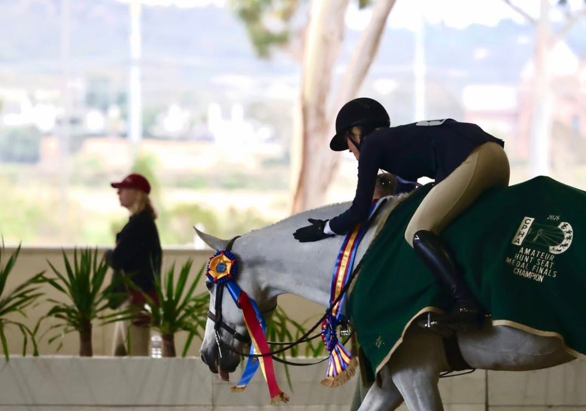 Equestrian rider on a decorated white horse with colorful ribbons at an outdoor show jumping competition.