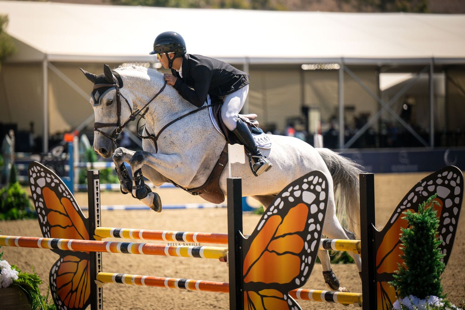 Gray horse leaping over butterfly-decorated show jump fence at equestrian competition.