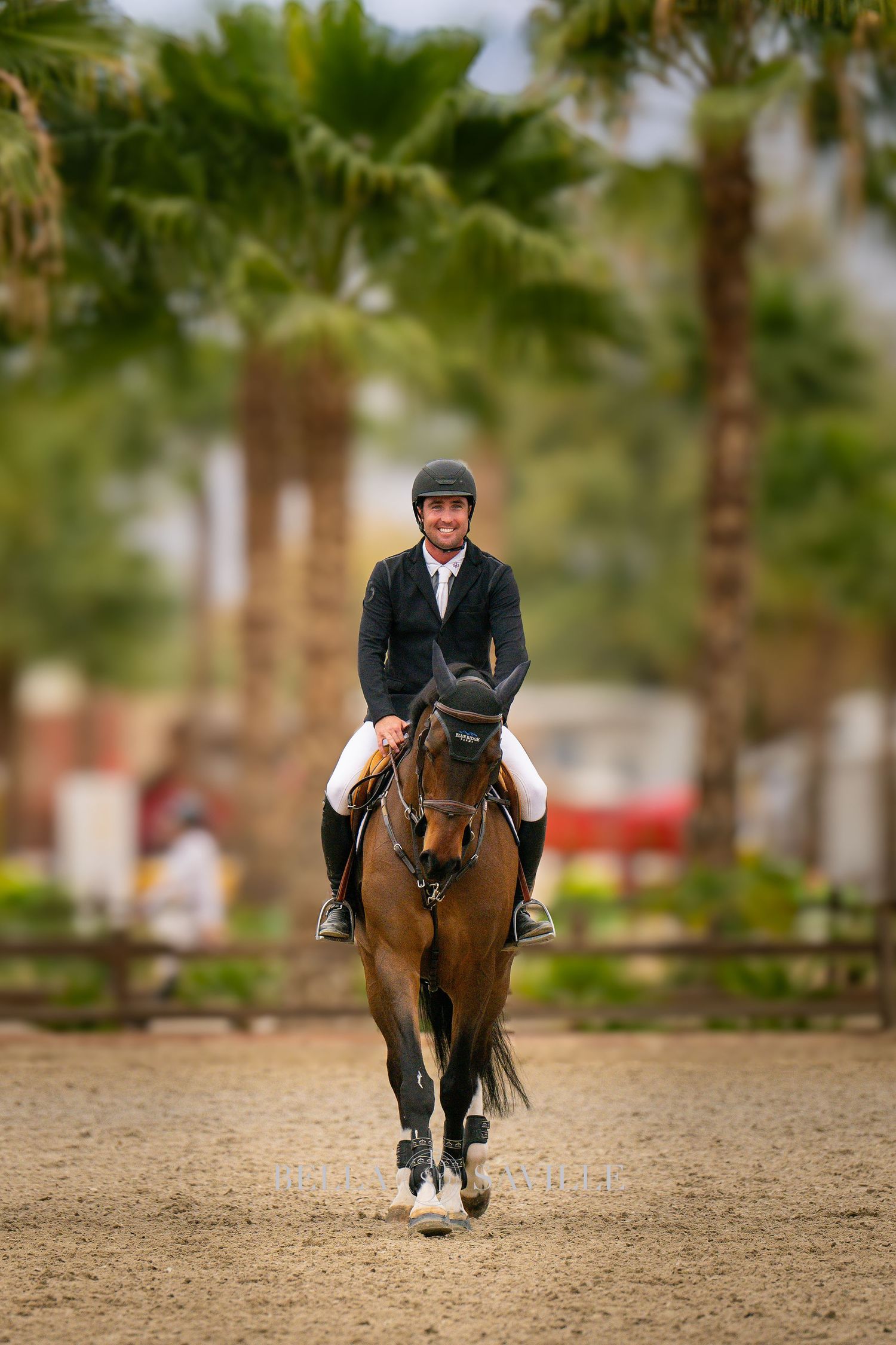 Male equestrian rider on a bay horse trotting in an outdoor arena with palm trees.