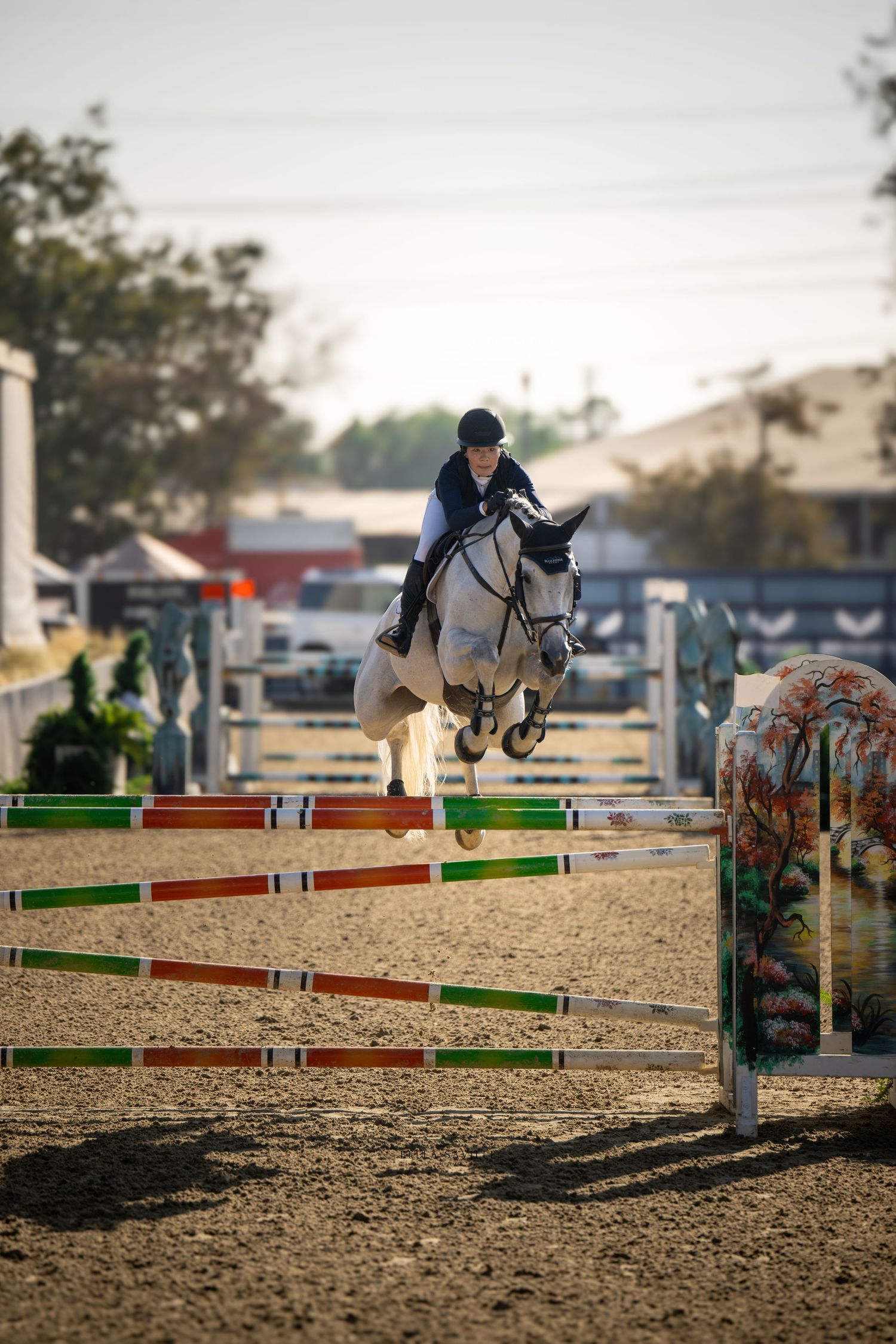 Gray horse and rider jumping colorful striped rails at outdoor equestrian show.