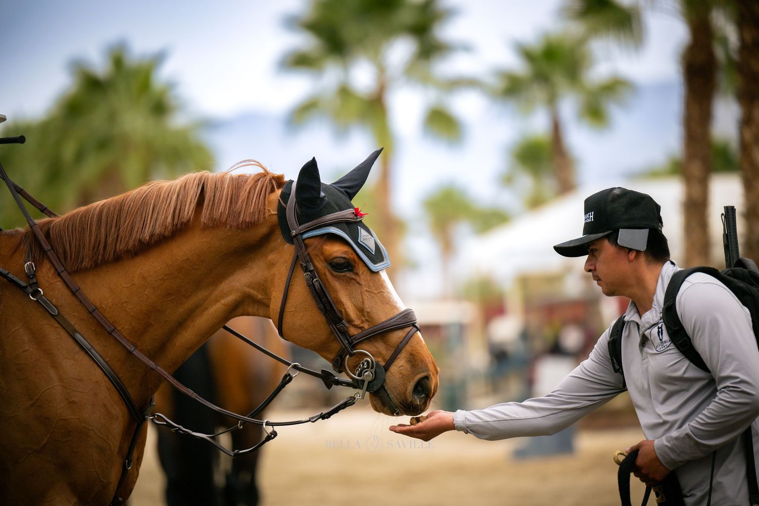 A person gently reaches out to pet a chestnut horse wearing a bridle at an outdoor equestrian event. photo Bella Saville Photographty