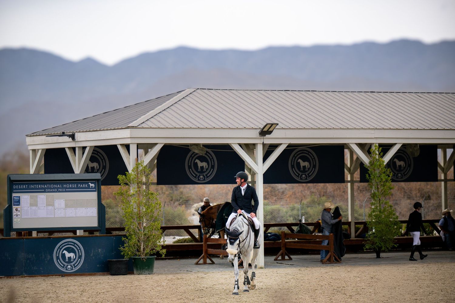 Equestrian rider on a grey horse in an outdoor arena with mountain backdrop.
