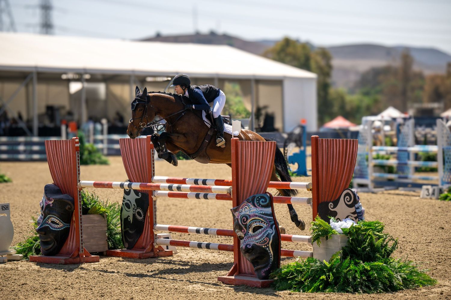 Bay horse and rider clearing decorative show jump obstacle at equestrian event.