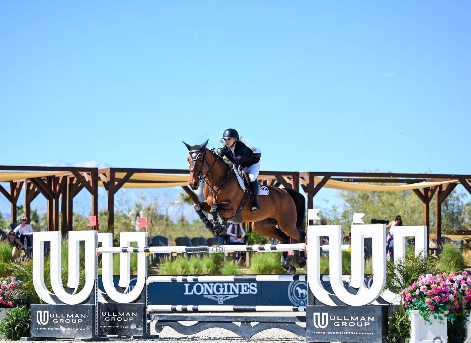 Equestrian on chestnut horse clears a Longines-branded jump at an outdoor show jumping competition. Camryn Chalmers