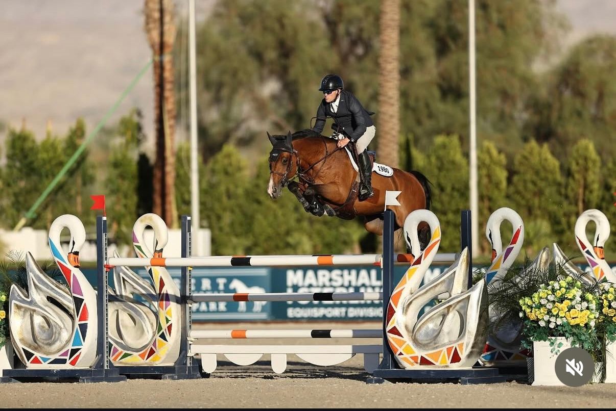 Equestrian rider jumping a chestnut horse over decorative swan fences at a show.