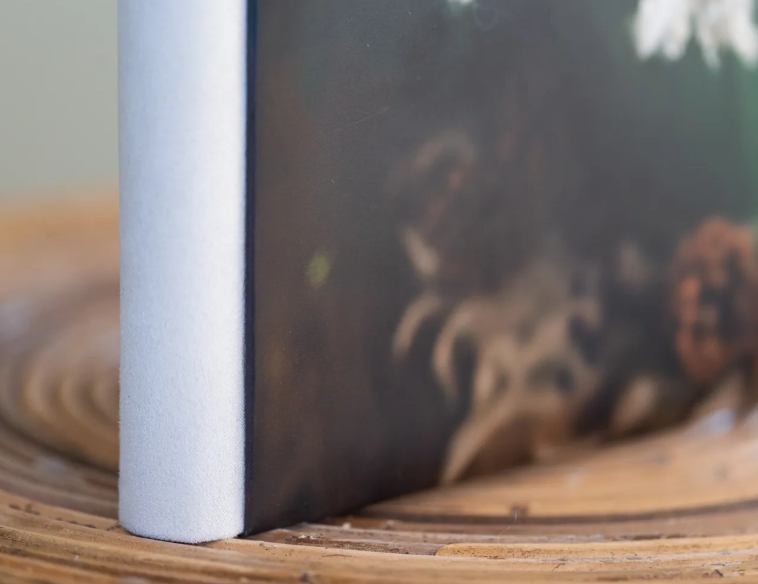 Close-up of a photo book spine resting on a wooden surface with a nature scene cover.