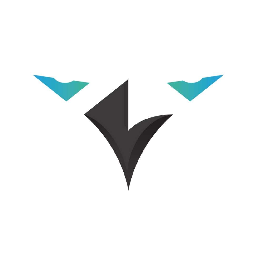 Munich Ravens Logo.
