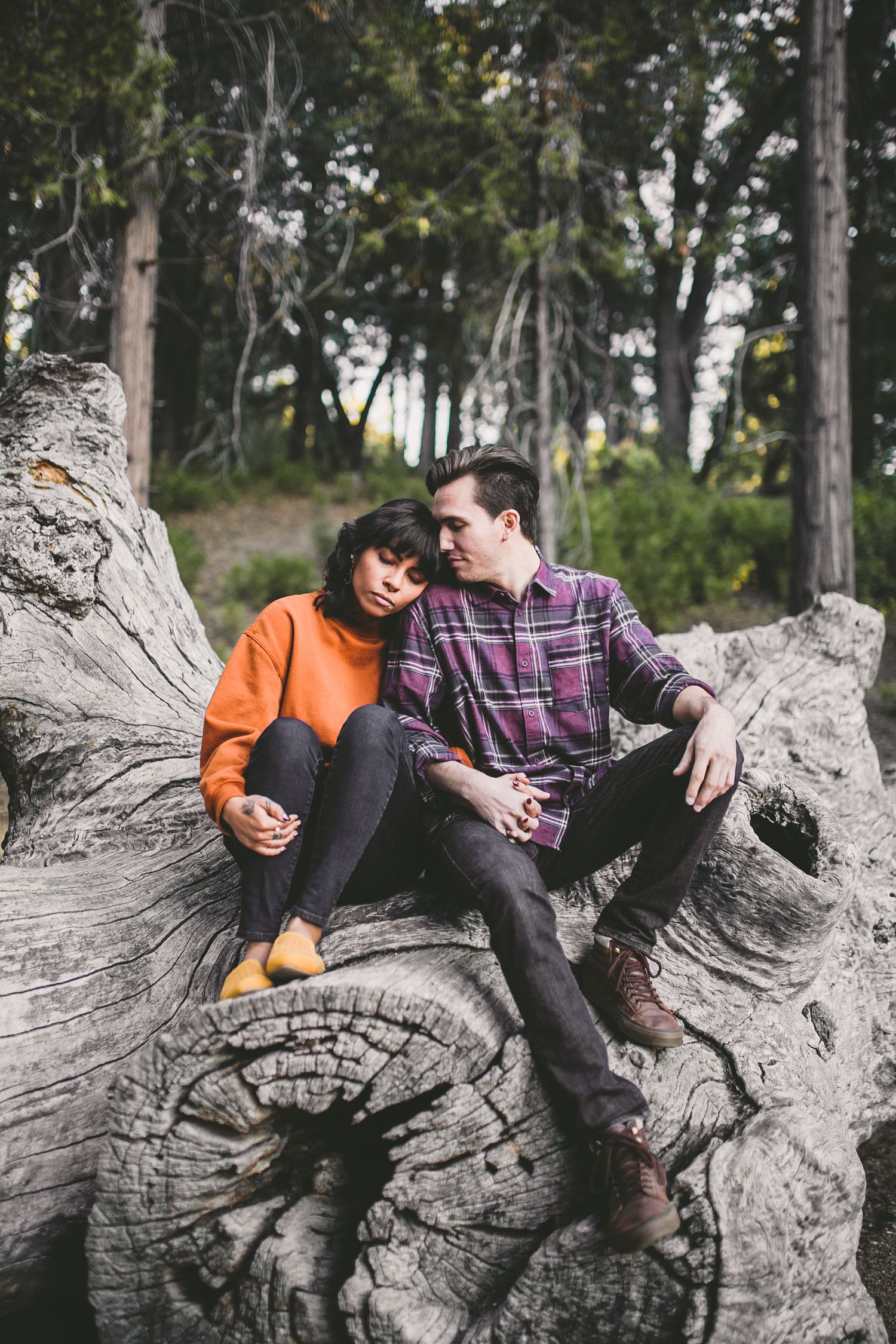 Couple sitting close together on a large fallen log in a forest, woman in orange sweater, man in plaid shirt.