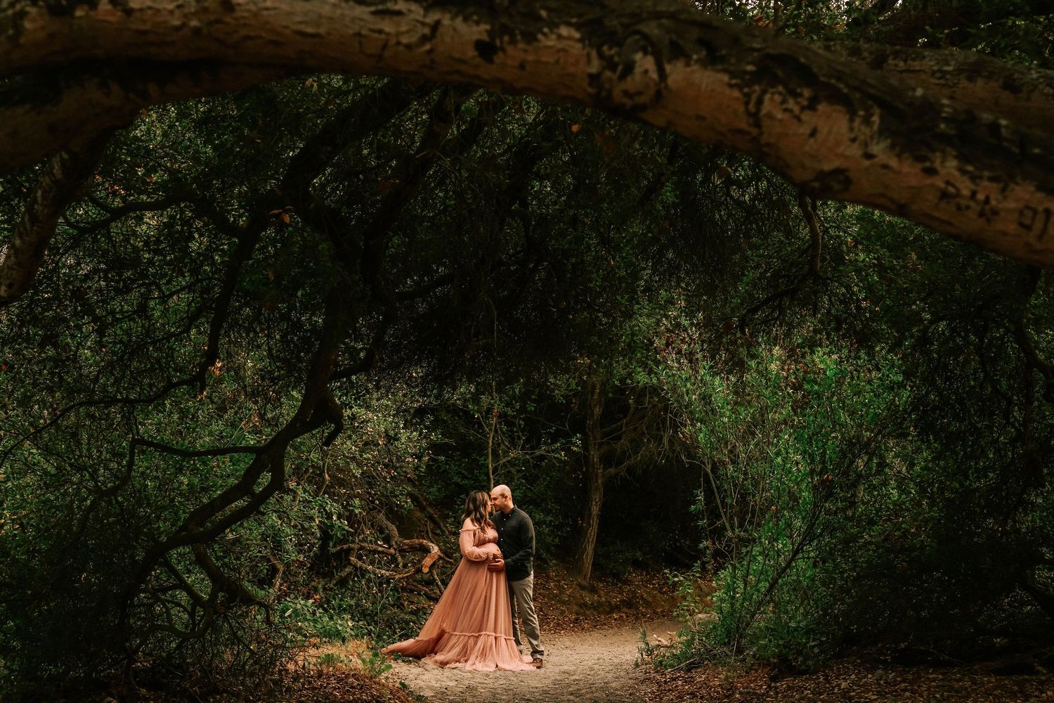 Couple embracing on a forest path under arching trees, woman in flowing rust gown, romantic outdoor portrait.