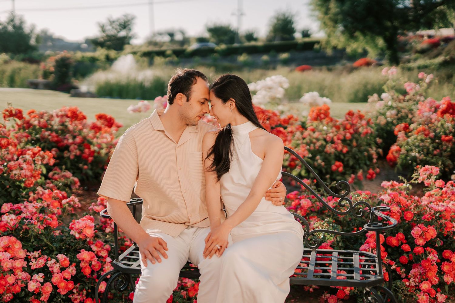Couple sitting on ornate bench surrounded by blooming red and pink roses in a lush garden, sharing a romantic moment.