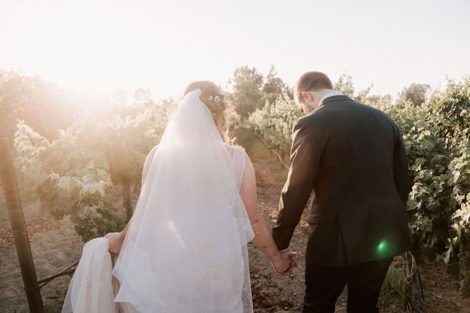 Bride and groom holding hands walking through a sunlit vineyard, bride wearing a flowing white veil.