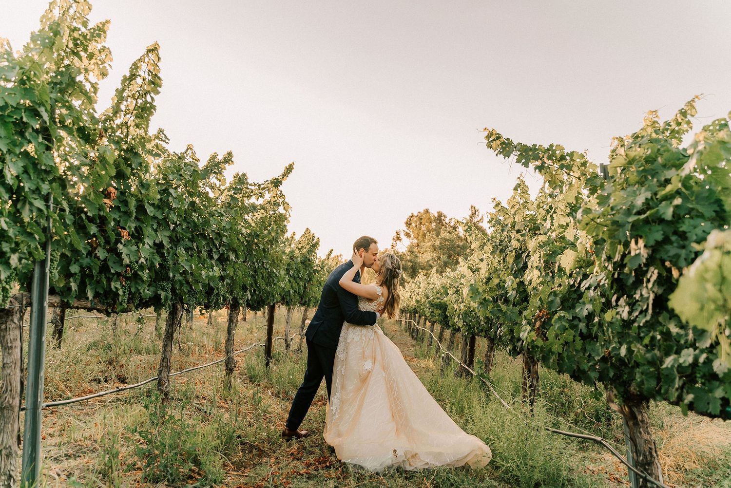 Couple sharing a romantic kiss in a lush vineyard, bride in flowing gown and groom in black suit.