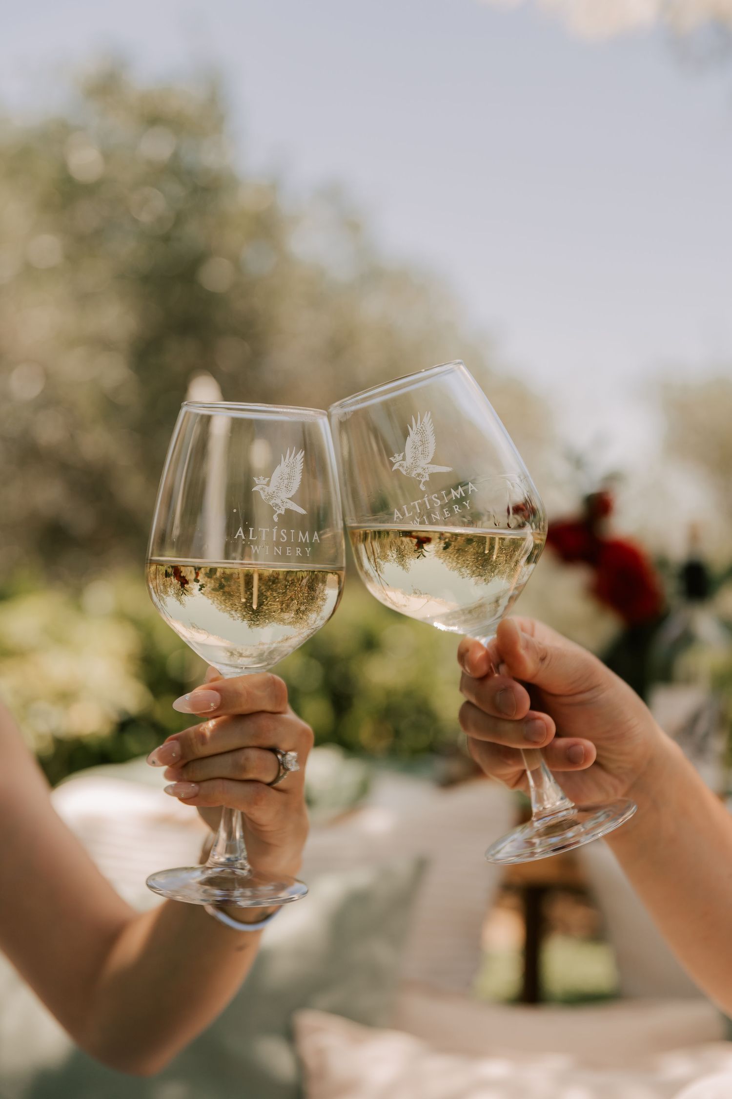 Two hands clinking glasses of white wine outdoors at a wedding celebration in a sunny garden setting.
