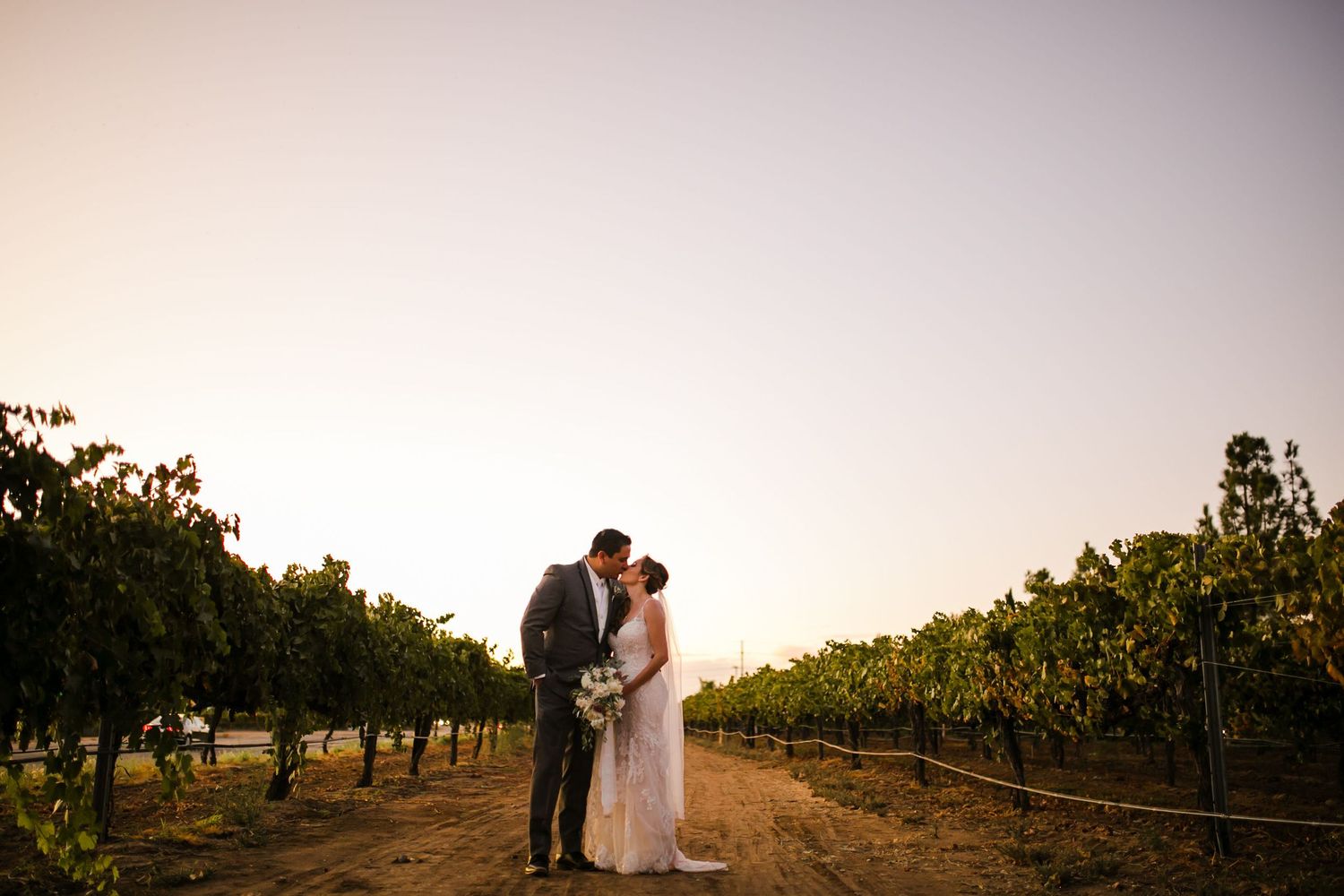 Bride and groom share a romantic kiss at sunset in a lush vineyard, surrounded by rows of green grapevines.