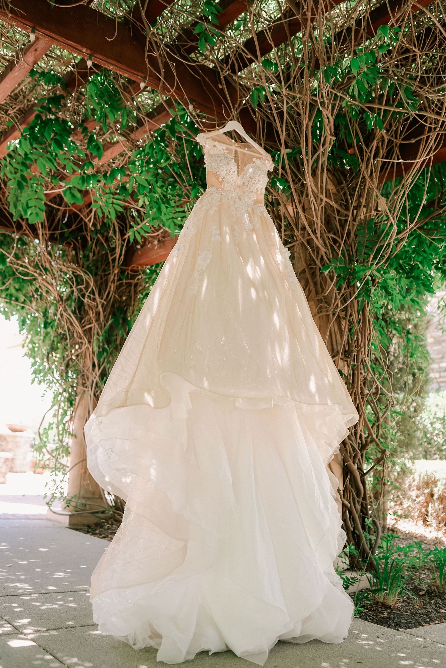 Elegant strapless ball gown wedding dress hanging under a vine-covered pergola with lush green foliage backdrop.