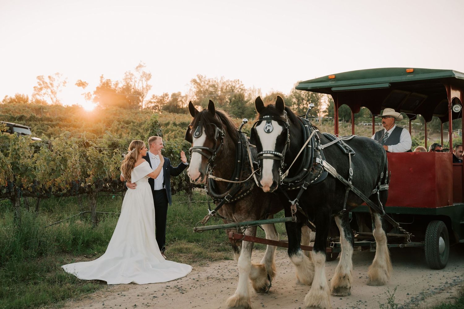 Bride and groom pose beside two Clydesdale horses pulling a green carriage at a vineyard wedding during golden hour.