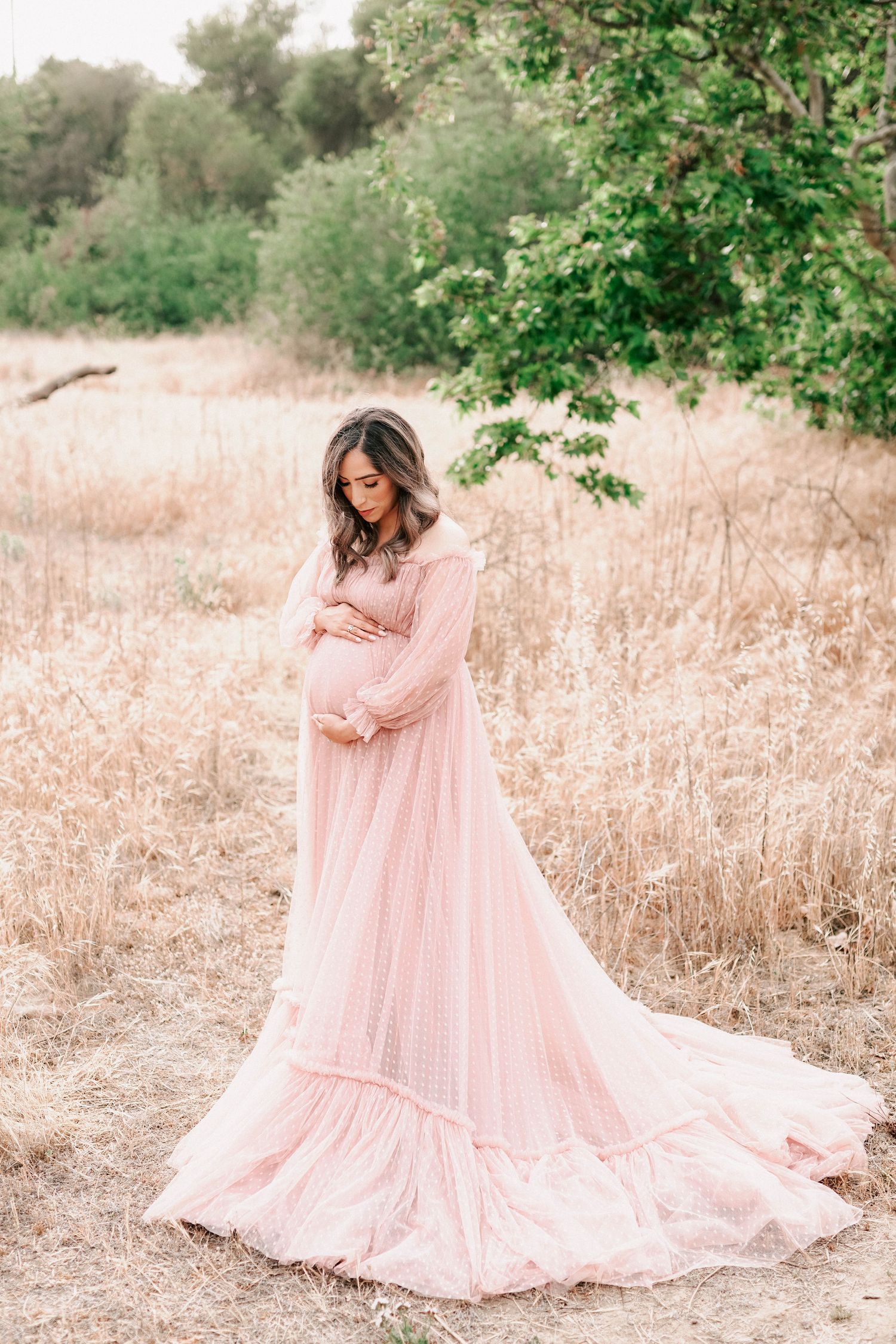 Pregnant woman in flowing pink maternity gown standing in golden field with lush green trees backdrop.
