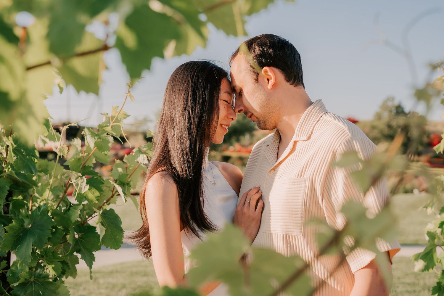 Romantic couple sharing an intimate moment among lush green vineyard vines on a sunny day.