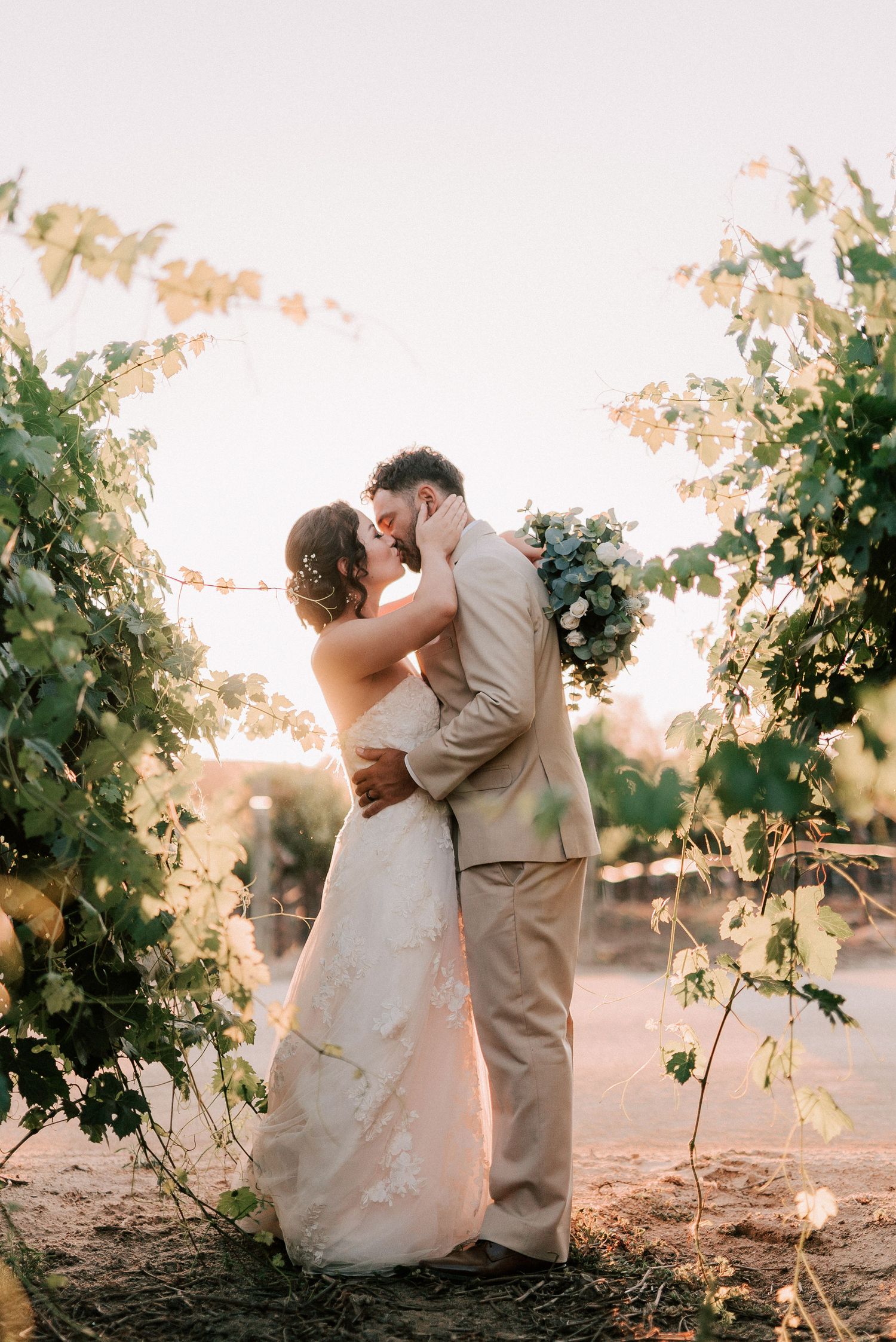 Bride and groom sharing a kiss among lush vineyard vines, bride in white lace gown holding blue floral bouquet.