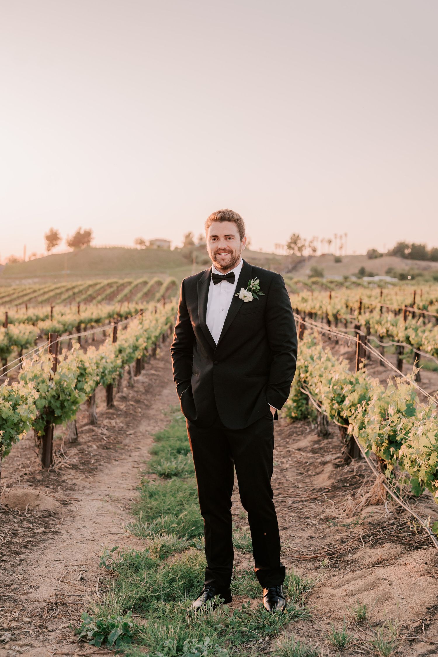 Groom in black tuxedo with boutonniere stands confidently in lush vineyard rows at golden hour sunset.