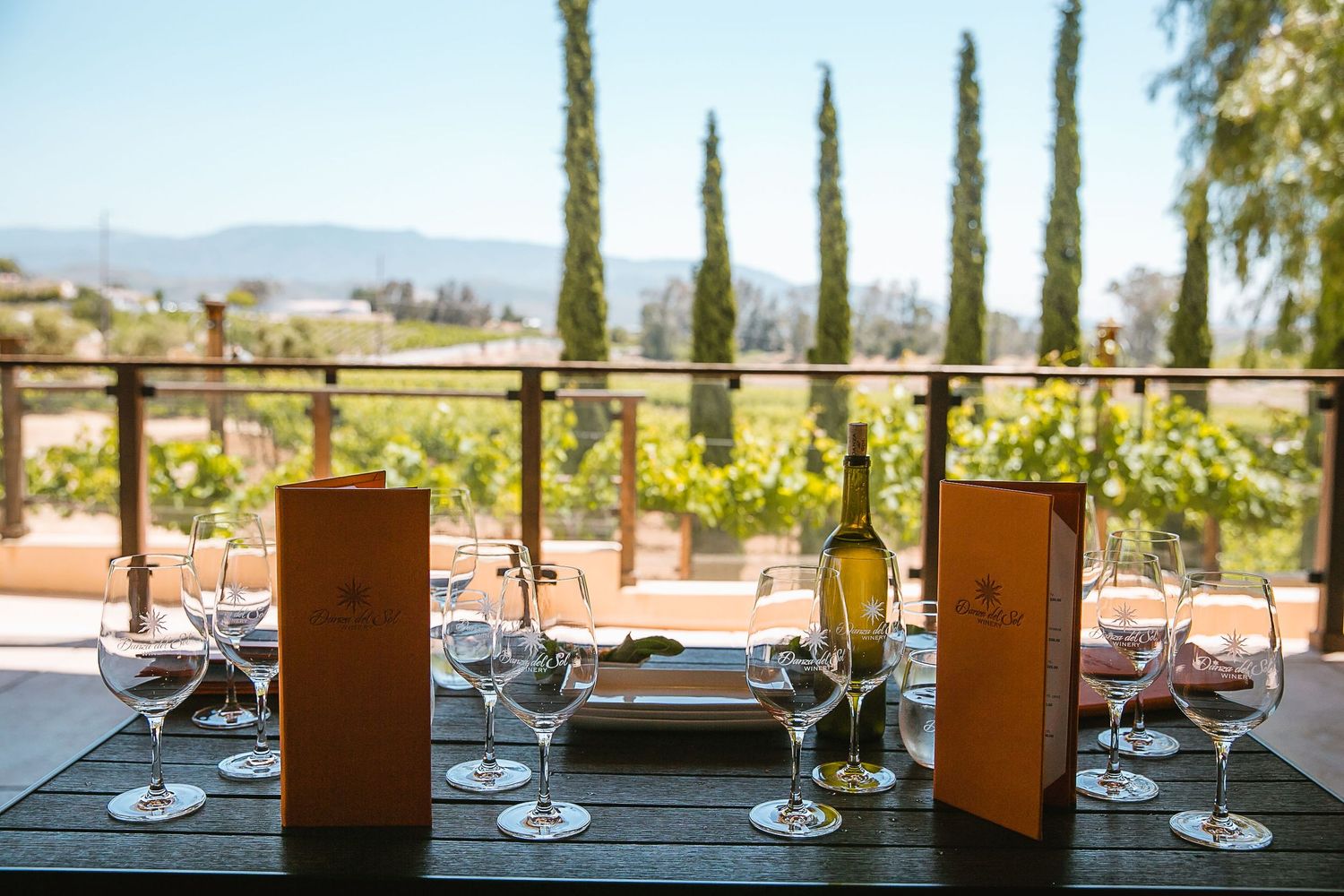Outdoor winery tasting table with wine glasses, bottle, and orange menus overlooking a scenic vineyard.
