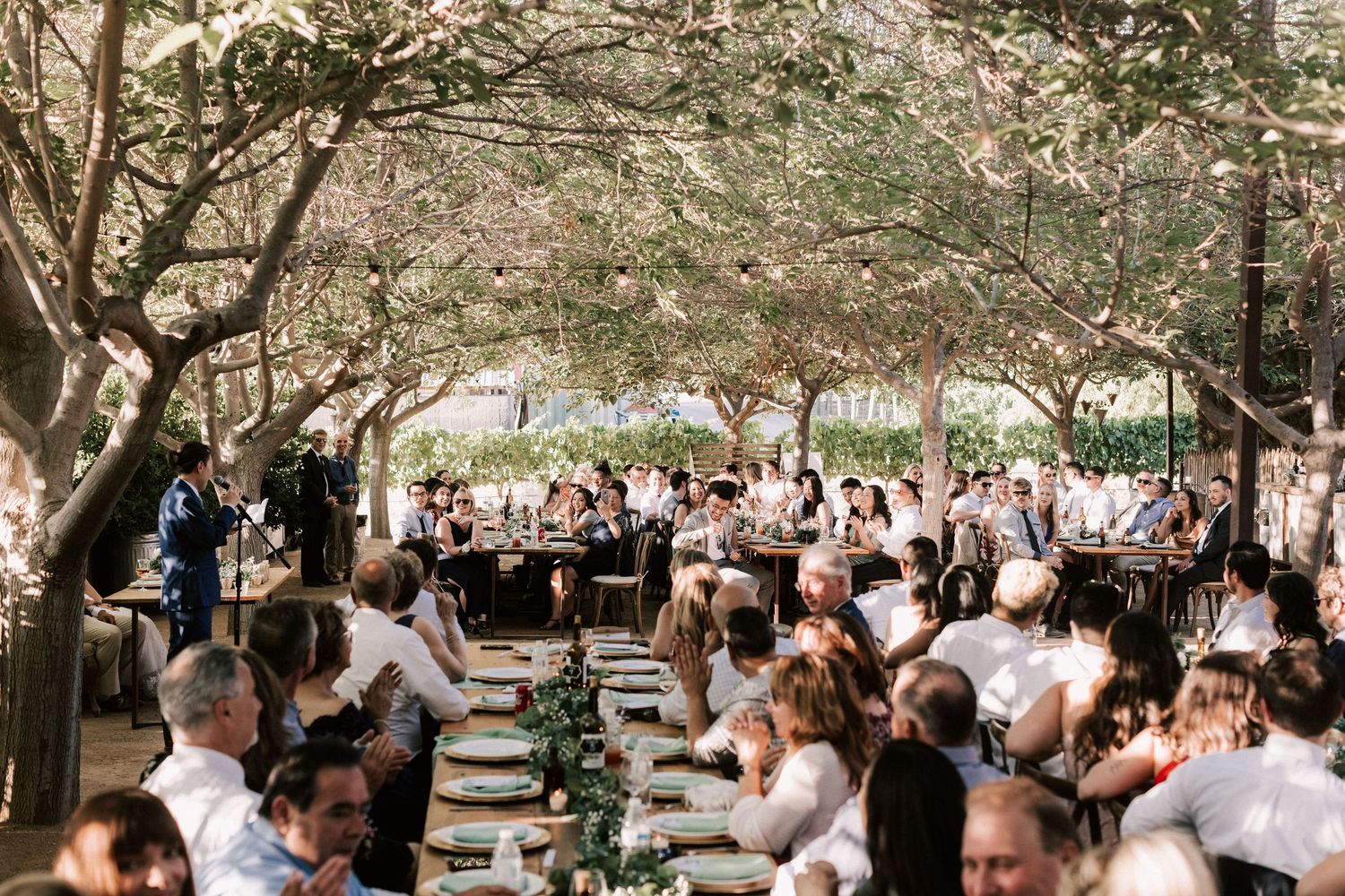 Outdoor wedding reception under shady trees with long decorated tables and elegantly dressed guests dining together.