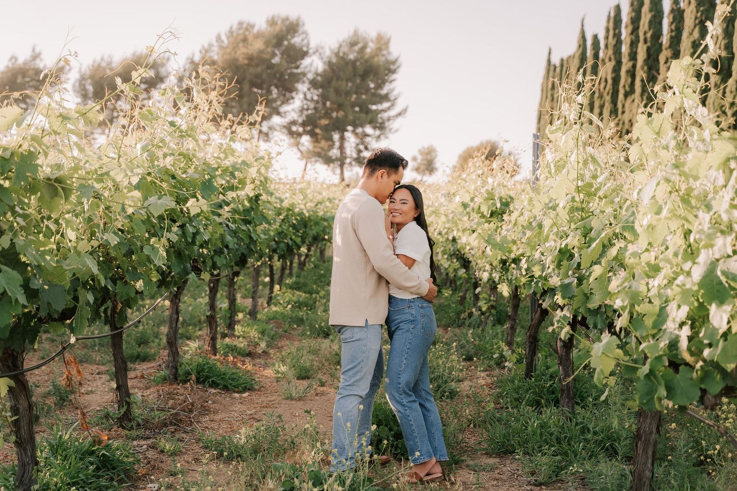 Couple embracing romantically among lush green vineyard rows during golden hour in a scenic outdoor setting.