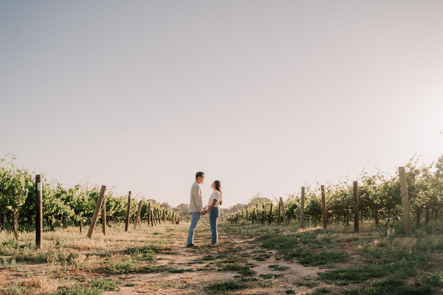 Couple holding hands facing each other in a sunny vineyard with lush green grapevines and a bright sky.