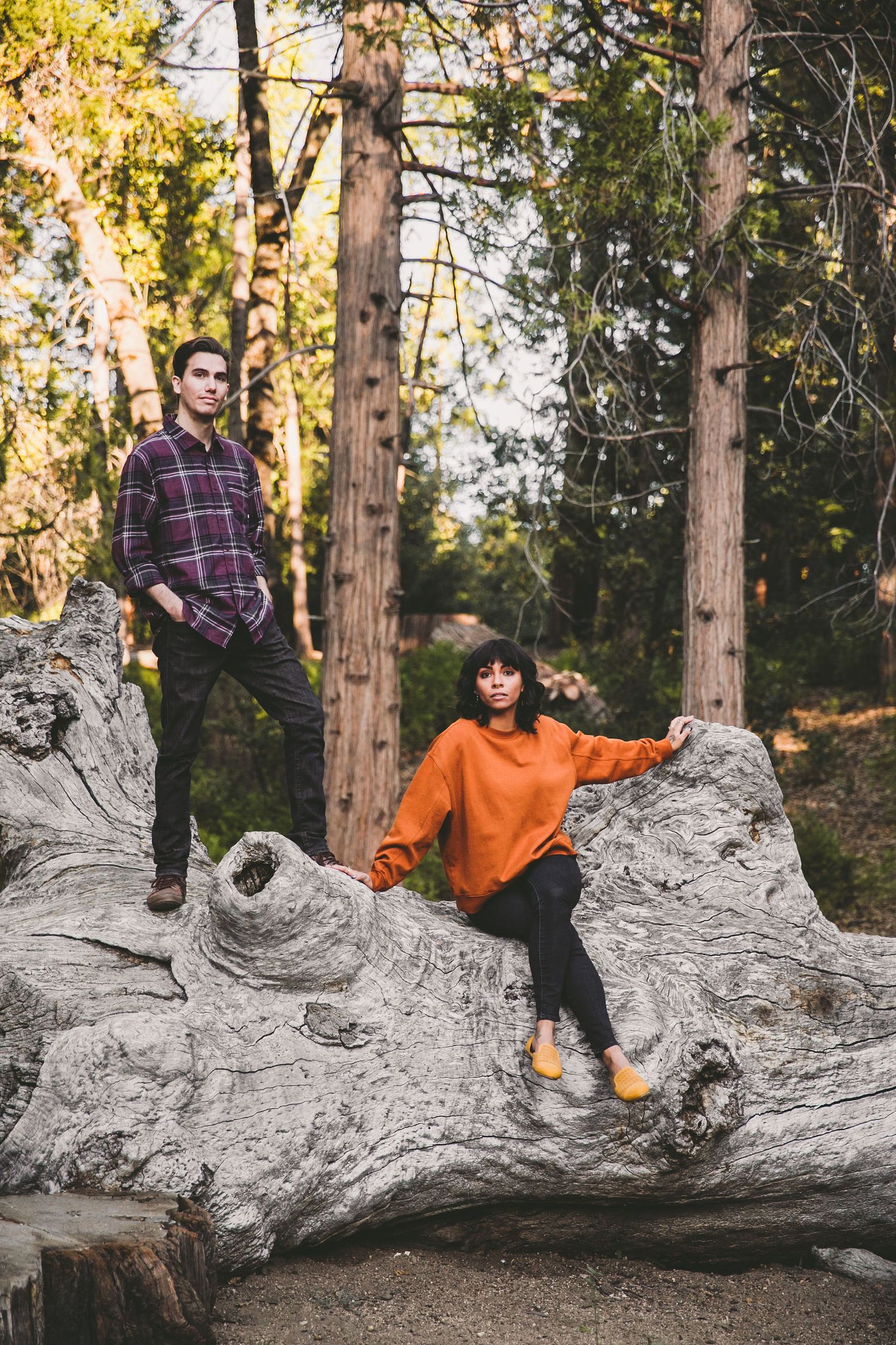 Couple posing on a large fallen log in a forest, woman in orange sweater and man in plaid shirt surrounded by tall trees.