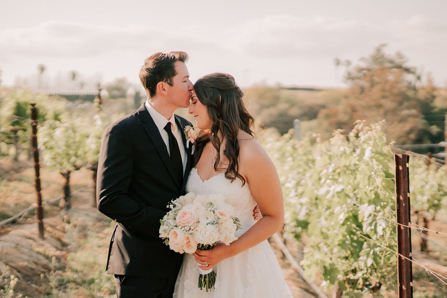 Groom in a black suit kisses bride on the forehead as she holds a pink rose bouquet in a sunlit vineyard wedding portrait.