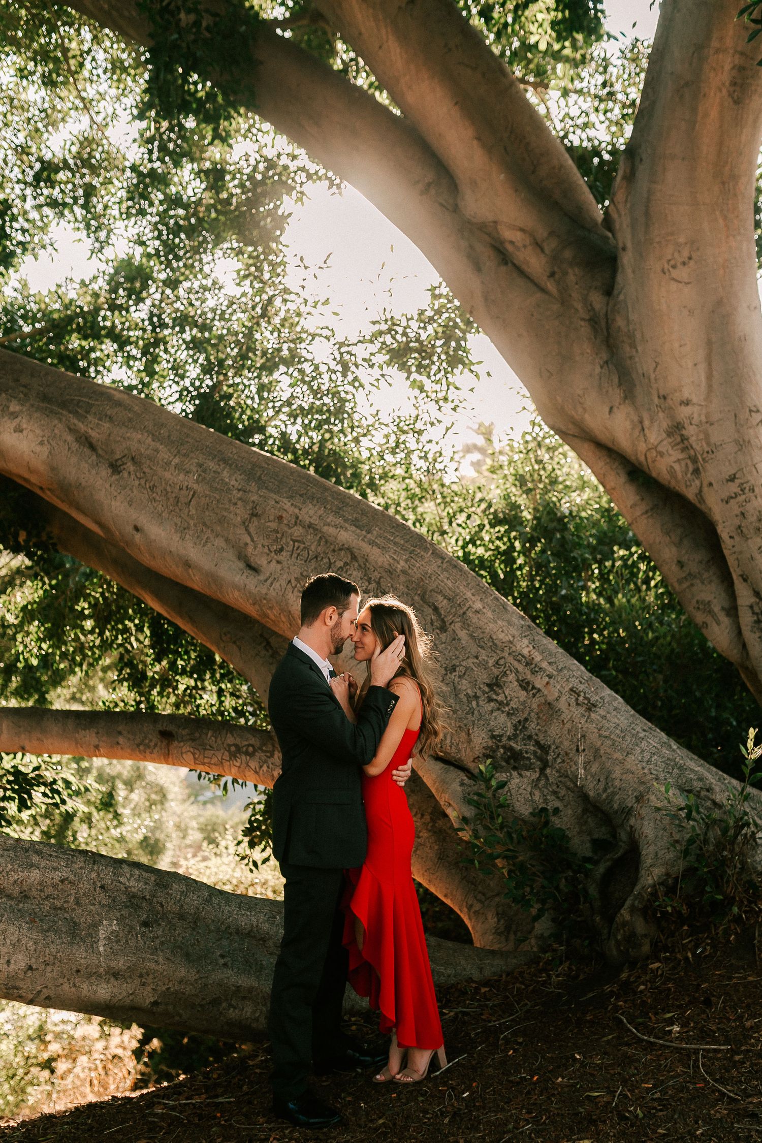 Couple embracing and kissing under a large twisted tree with golden sunlight filtering through green leaves.