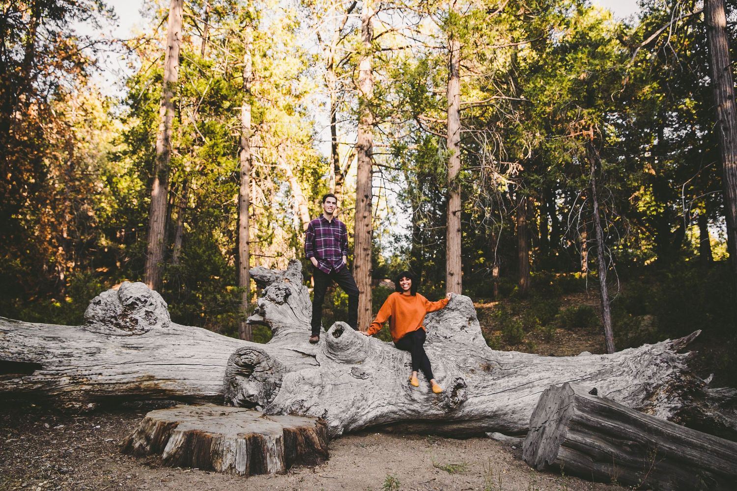 Two people balancing on a large fallen log in a sunlit forest with tall trees in the background.