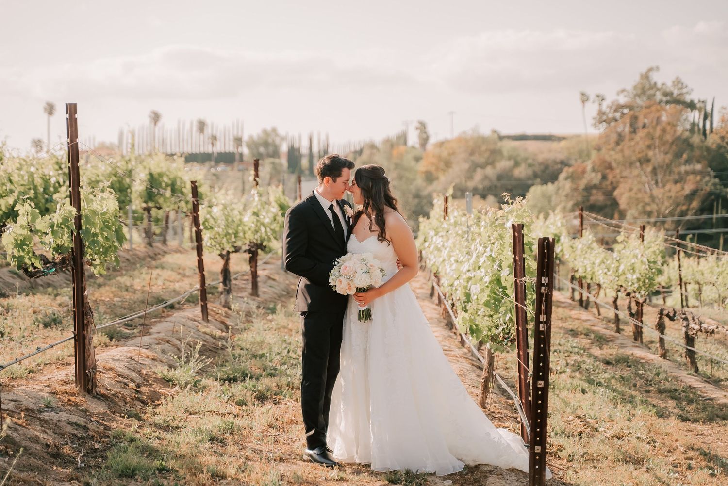 Bride in a white gown holding a bouquet embraces her groom in a black suit between rows of grapevines at a vineyard wedding.