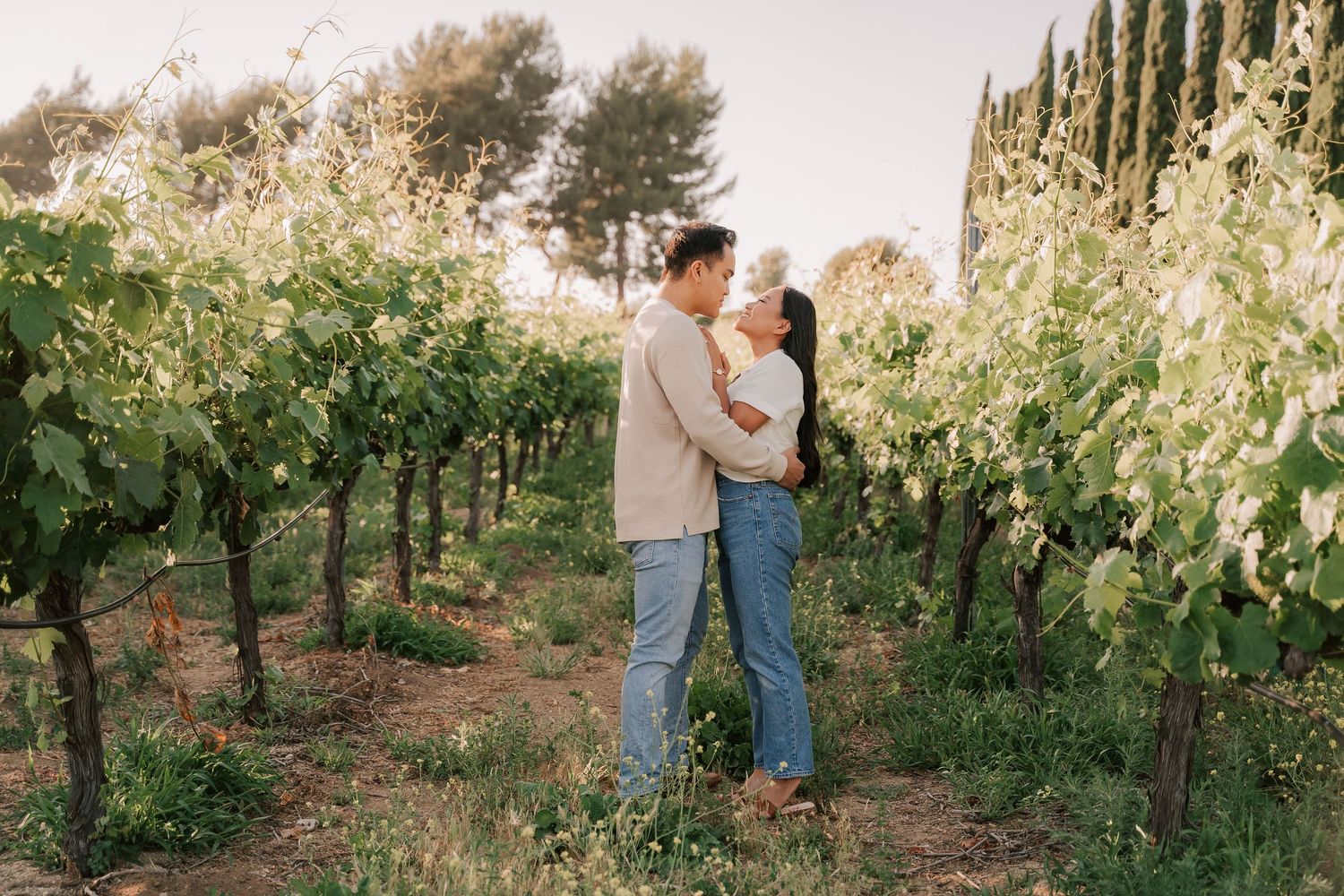 Couple embracing romantically among lush green vineyard rows at golden hour.