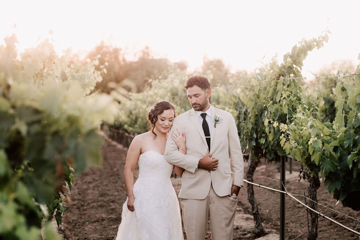 Bride and groom walking through lush vineyard rows in golden sunset light, she in white gown, he in tan suit.