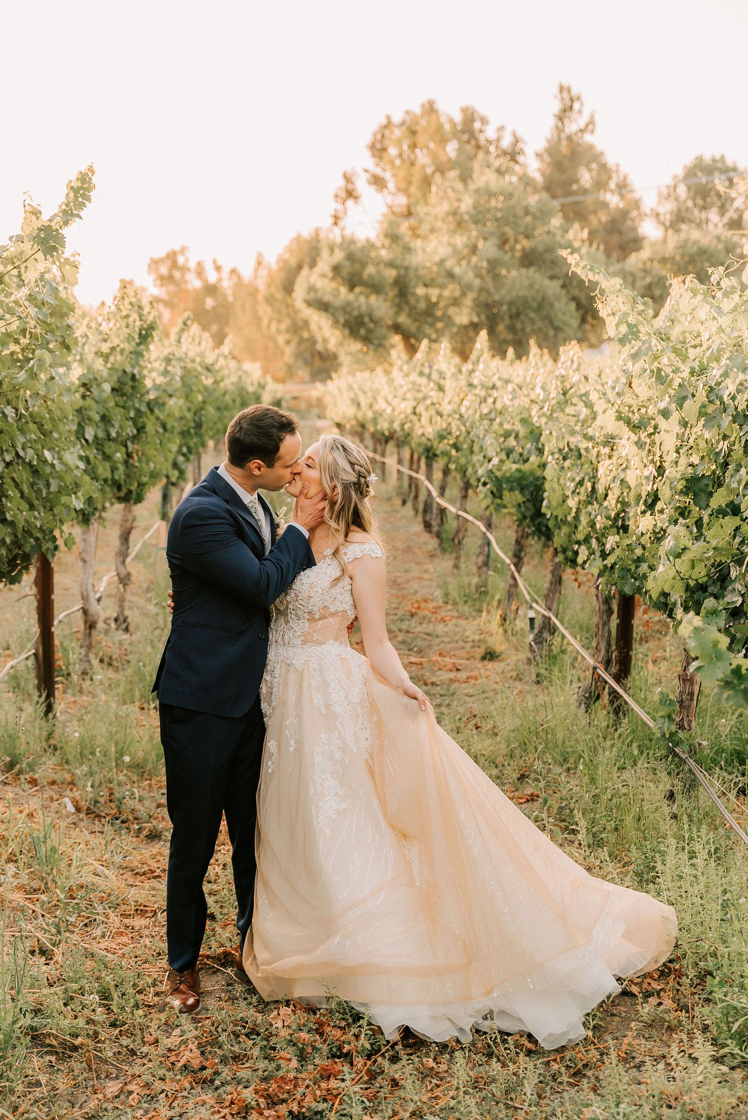 Bride and groom kissing in a sunlit vineyard, she wears a flowing blush lace gown, he wears a navy suit.