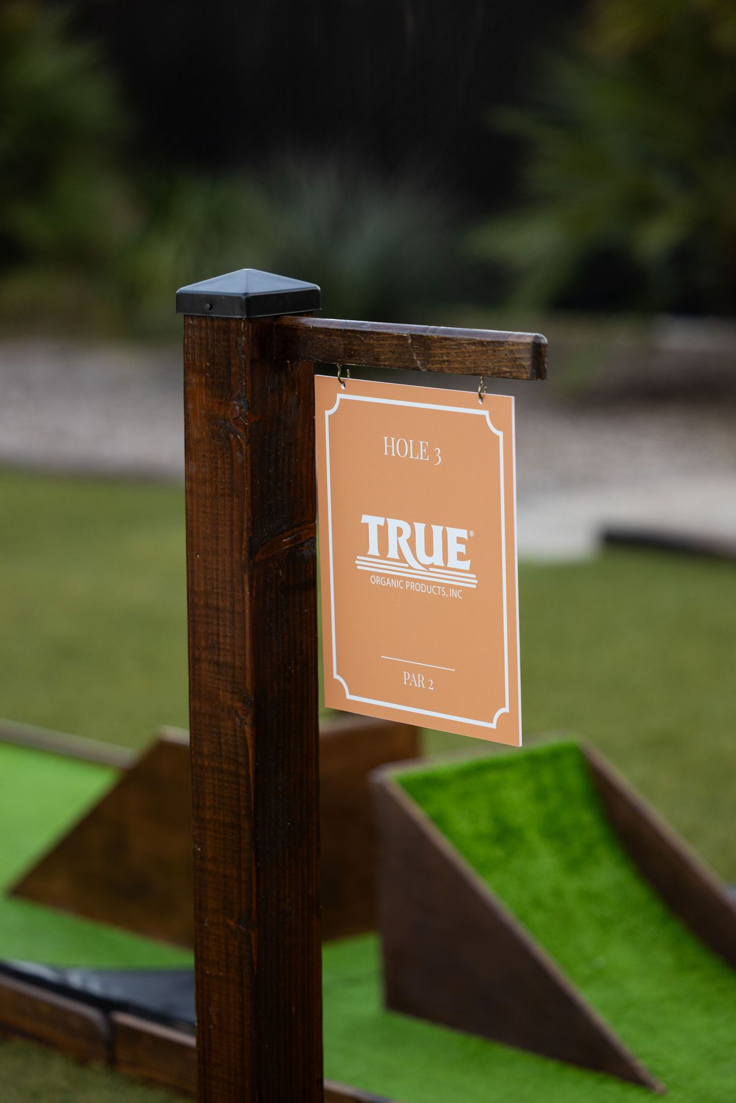 Wooden hole marker sign for Hole 1 sponsored by TRUE at an outdoor mini golf course.