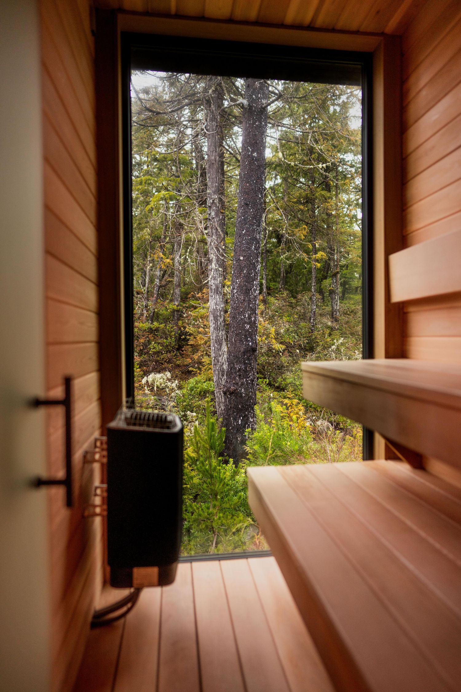 Modern wooden sauna with forest view — hospitality photography by James Fujita in British Columbia